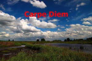 Logo - Carpe Diem - December 2012