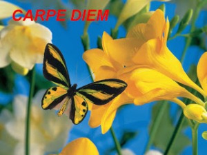 Logo - Carpe Diem - June 2013