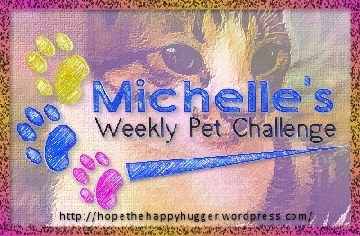 LOGO - Michelle's Pet Challenge